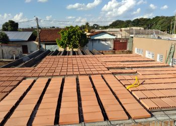 WhatsApp Image 2026-03-10 at 16.24.39